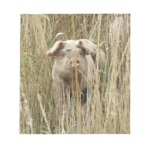 Bloco De Notas Notepad de Porco Bonito