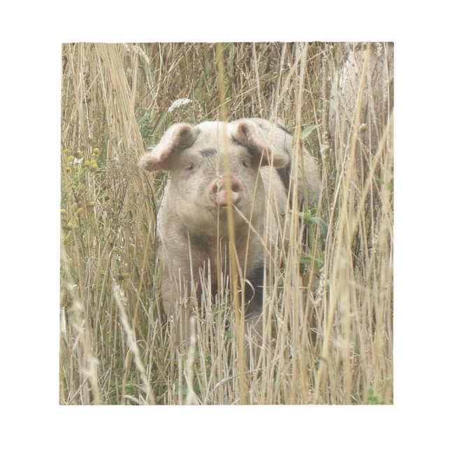 Bloco De Notas Notepad de Porco Bonito (Frente)