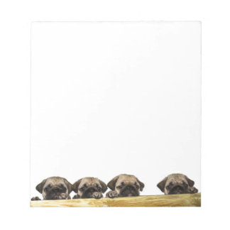 Bloco De Notas Notepad de Quatro Pugs