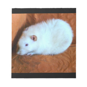 Bloco De Notas Notepad de rato branco de bola de neve
