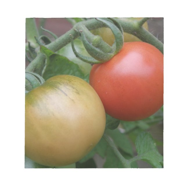 Bloco De Notas Notepad de tomate laranja e vermelho (Frente)