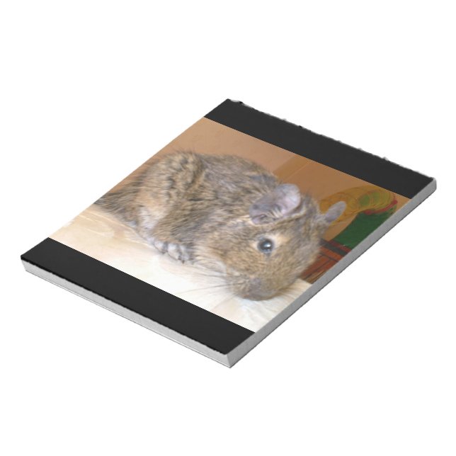 Bloco De Notas Notepad Degu Relaxing (Invertido)