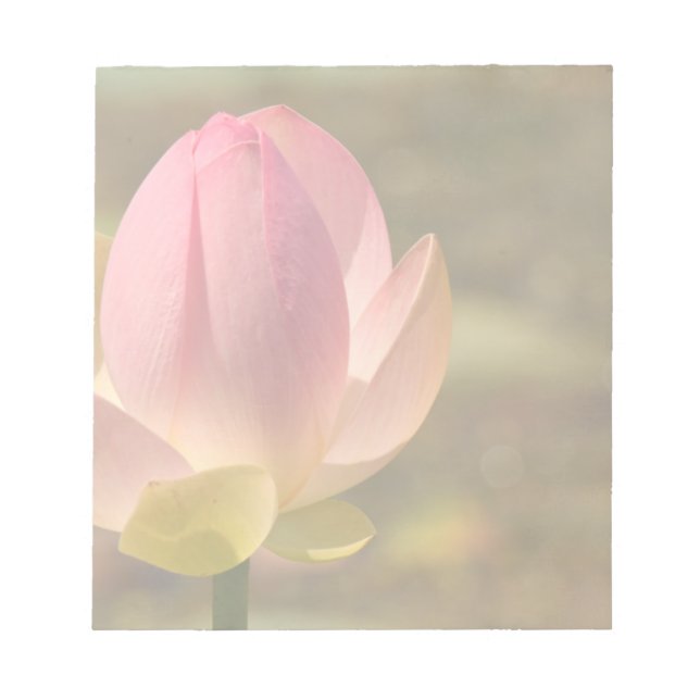 Bloco De Notas Notepad do Lotus Flor (Frente)