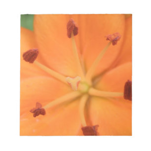 Bloco De Notas Notepad Floral Laranja Lily
