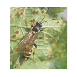 Bloco De Notas Notepad Hoverfly