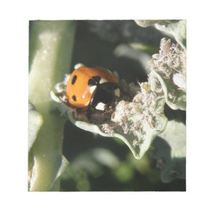 Bloco De Notas Notepad Ladybug britânico 7