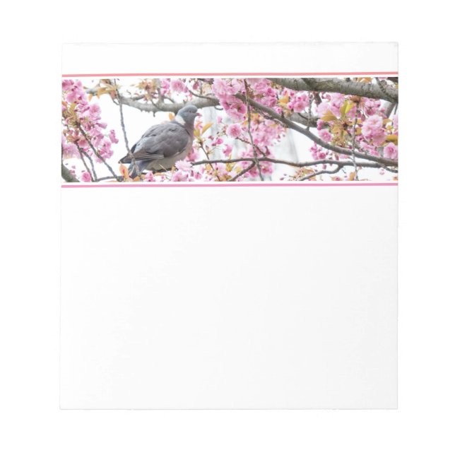 Bloco De Notas Notepad Pigeon Cherry Blossoms Rosa (Frente)