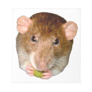 Bloco De Notas Notepad Rat Fome