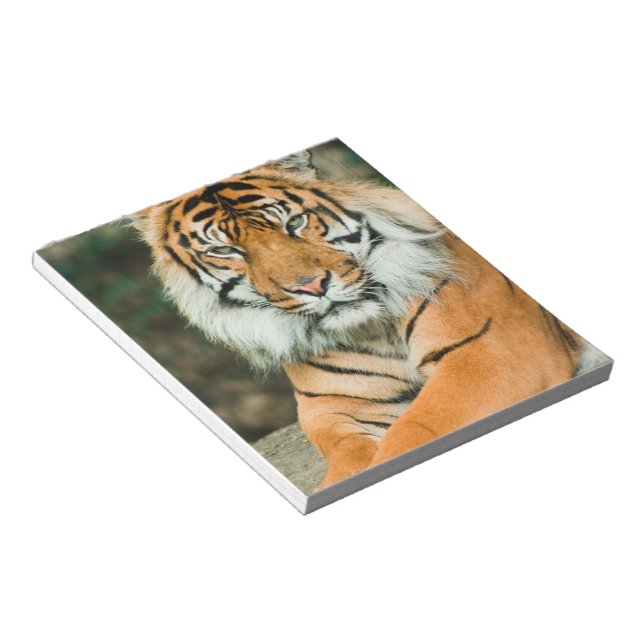 Bloco De Notas Notepad Tiger Laranja (Inclinado)