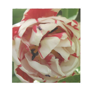 Bloco De Notas Notepad Tulip Cor-de-Rosa e Branco