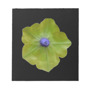 Bloco De Notas Notepad Verde Petunia e Azul