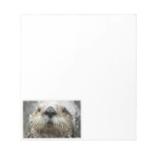 Bloco De Notas Notepads de fotos com a face externa do mar
