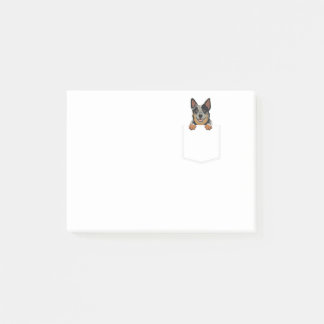 Bloco De Notas O Adorável Pequeno Cachorro Australiano No Pocke