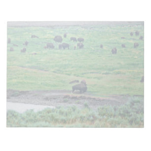 Bloco De Notas O Bison Americano