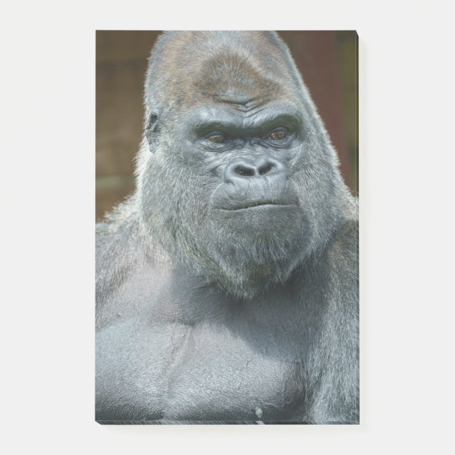 Bloco De Notas O bonito Silverback (Frente)