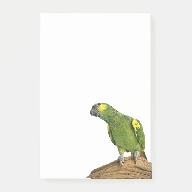 Bloco De Notas O Cargo-it® de Amazon nota 4 x 6 (Frente)