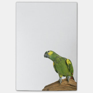 Bloco De Notas O Cargo-it® de Amazon nota 4 x 6