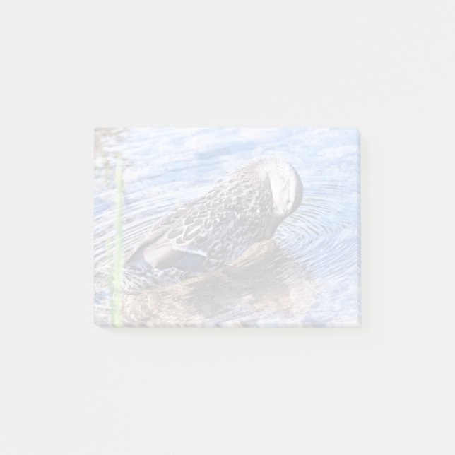 Bloco De Notas O efeito de alvoroço (Frente)