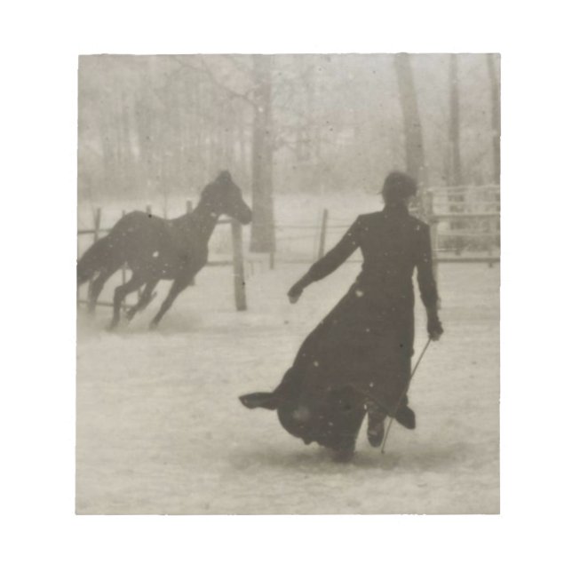 Bloco De Notas O Formador De Cavalos Por Felix Thiollier 1899 (Frente)