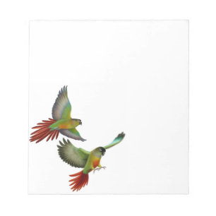 Bloco De Notas O mordente verde Conure repete mecanicamente o