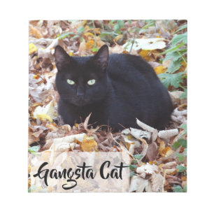 Bloco De Notas O outono de Black cat deixa o Photo Notepad - 40 p