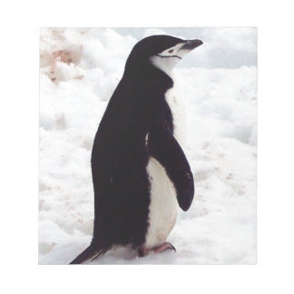 Bloco De Notas O Pinguim Mais Fofo, de Todos os Tempos
