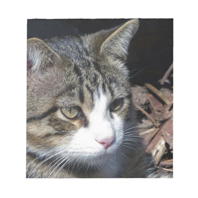 Bloco De Notas Observando o pássaro (Frente)