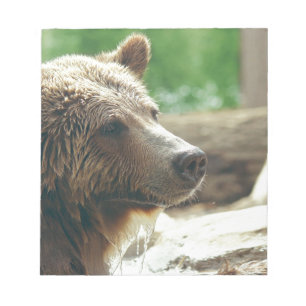 Bloco De Notas Olhos animais da cara do urso adorável bonito da