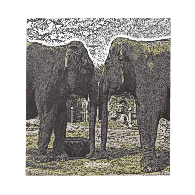 Bloco De Notas Olhos Elefantes (Frente)