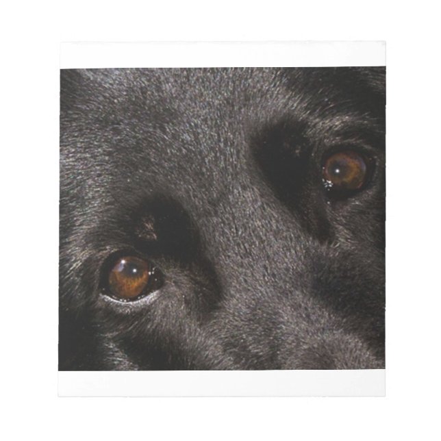 Bloco De Notas olhos german shepherd pretos (Frente)