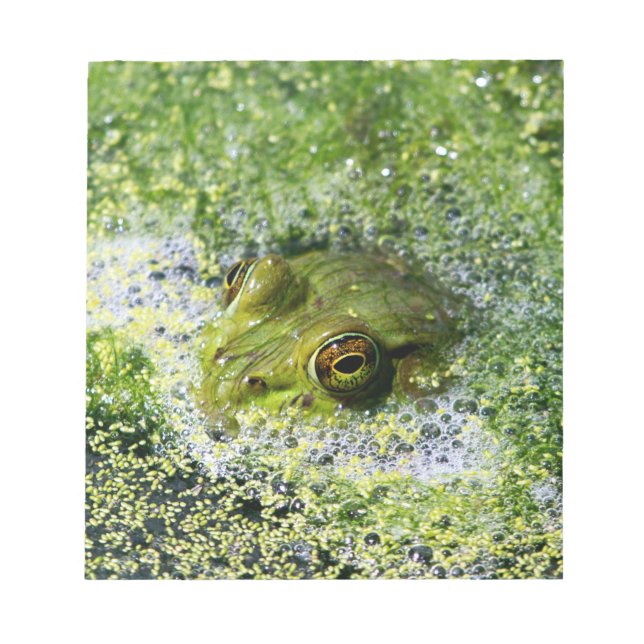 Bloco De Notas Olhos sapos em um Pond (Frente)