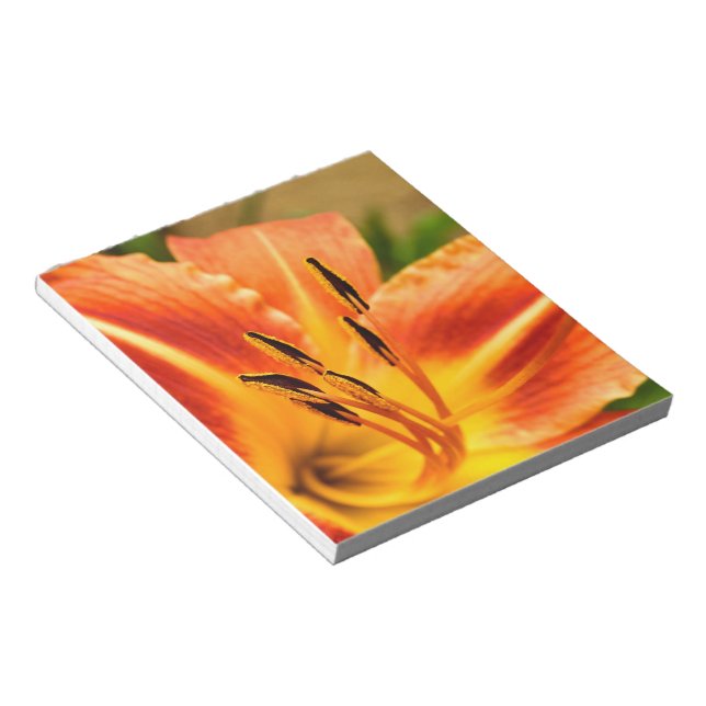 Bloco De Notas Orange Tiger Lily (Inclinado)