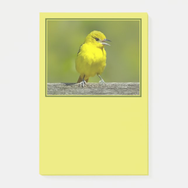 Bloco De Notas Orchard Oriole - Fotografia Original (Frente)
