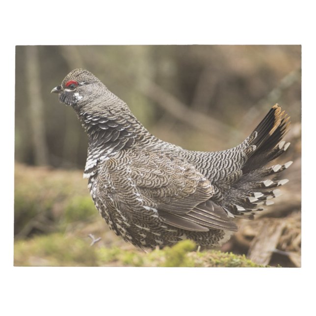 Bloco De Notas Orgulho (Frente)