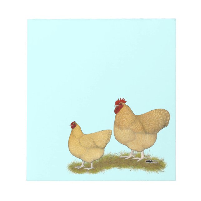 Bloco De Notas Orpingtons Lemon Cuckoo (Frente)