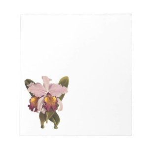 Bloco De Notas Orquídea Cattleya Roxa Vintage, Flores Tropicais