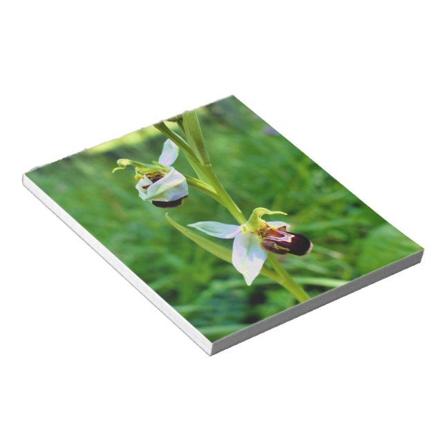 Bloco De Notas Orquídea de abelhas (Inclinado)