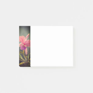 Bloco De Notas Orquídea de Cattleya e três beija-flores