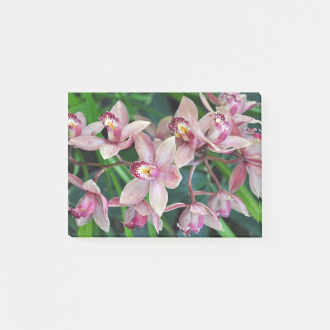 Bloco De Notas Orquídeas de mariposa rosa (Frente)