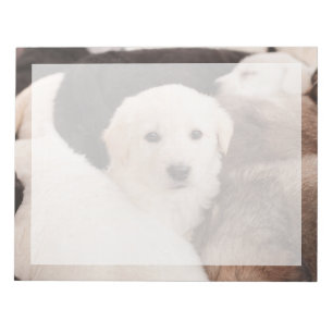 Bloco De Notas Os Bebês Animais Mais Fofos Uma Pilha Fofa de Fi