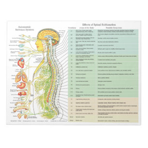 Bloco De Notas Os efeitos do Subluxation da American National