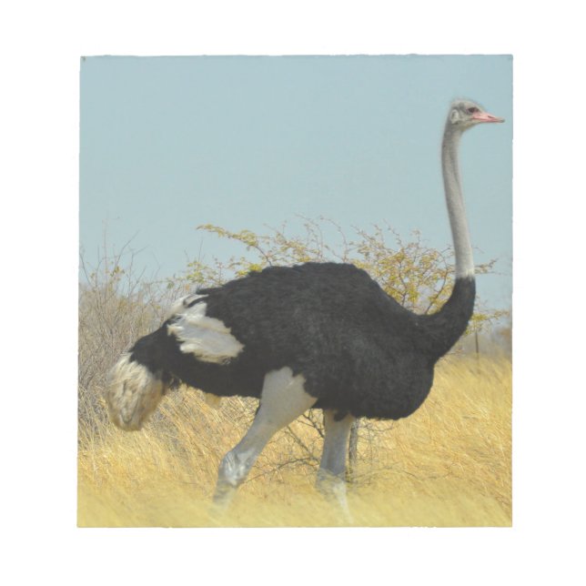 Bloco De Notas Ostrige para uma corrida (Frente)