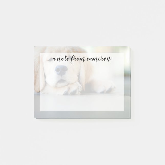 Bloco De Notas Ouro com sono (Frente)