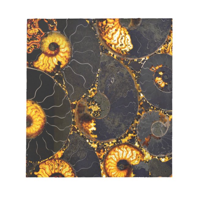 Bloco De Notas Ouro Nautilus (Frente)