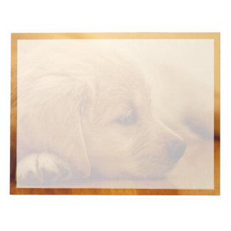 Bloco De Notas Ouro Retriever Puppy