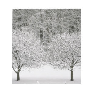 Bloco De Notas Paisagem coberta de neve