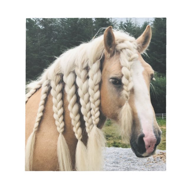 Bloco De Notas Palomino Gypsy Vanner (Frente)