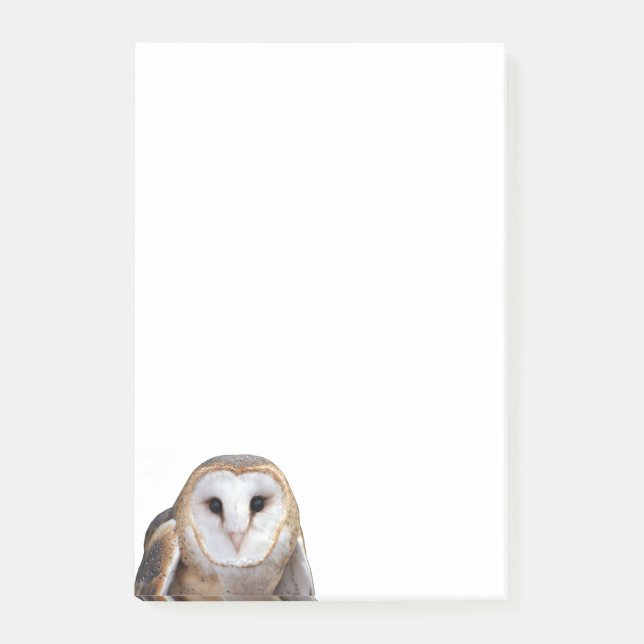 Bloco De Notas Papel de Carta de Notas do Barn Owl 4x6 (Frente)