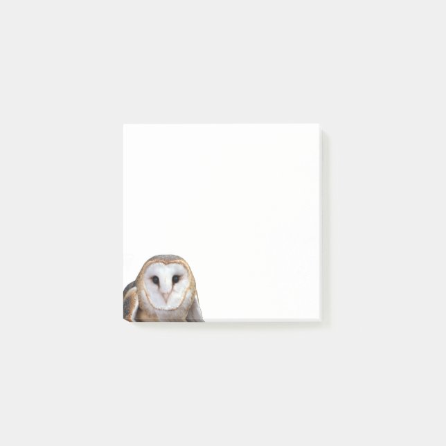 Bloco De Notas Papel de Posto de Notas Fotográficas do Barn Owl (Frente)