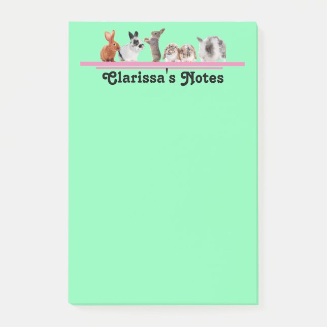Bloco De Notas Papelaria de coelho personalizada fofa adesiva (Frente)